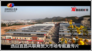 共聯(lián)商貿(mào)大市場(chǎng)專題